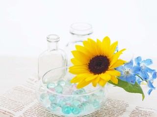 ヒマワリとデルフィニュームのアレンジメント