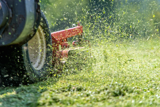 lawnmover at work in a meadow