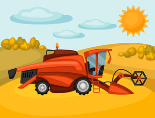 Combine harvester on wheat field. Agricultural illustration farm rural landscape