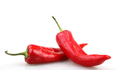 Chili pepper