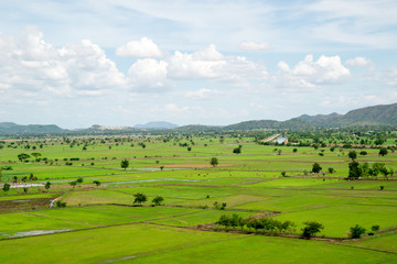 Fototapeta premium Thai countryside with rice paddies
