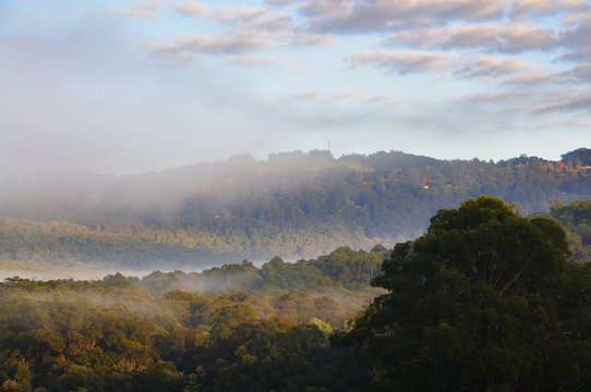 Morning fog over the Silvan Reservoir, Dandenong Ranges, Victoria