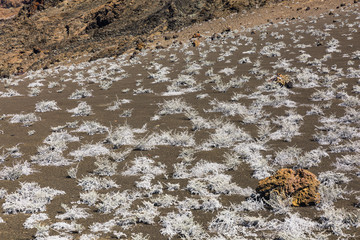 Shoreline at Bartolome