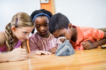Children looking fossils with a magnifying glass © WavebreakMediaMicro