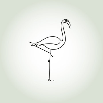 Flamingo in a minimal line style vector