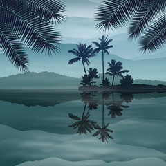 Background with sea and palm trees at night.