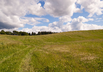 Summer nature landscape in countryside, Raplamaa, Estonia.