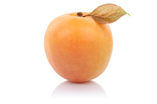 Aprikose Frucht Obst Freisteller freigestellt isoliert