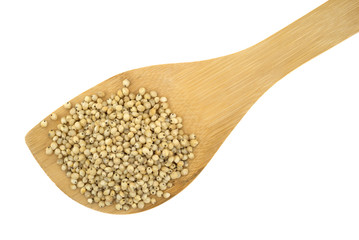 Whole grain sorghum seeds on a wood spoon atop a white background.