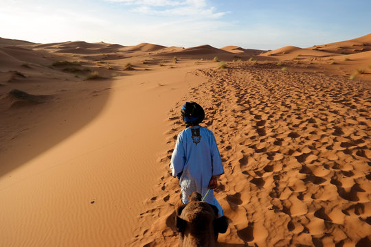 Camel rides in the Sahara