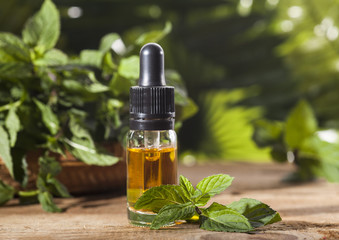 Mint Essential Oil