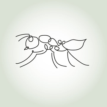 Ant in minimal line style vector