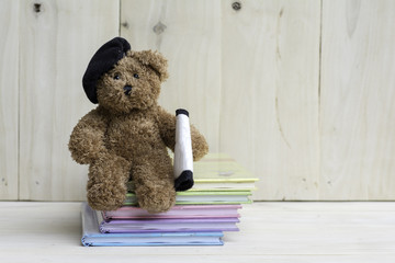 Teddy Bear sitting on the books placed on the wooden floor.