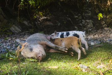 Huascaran National Park