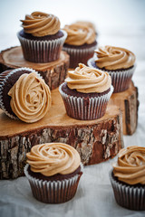 seven cupcakes on the stumps