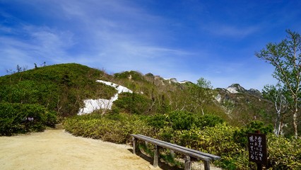 Fototapeta na wymiar 合戦沢の頭から山頂方向の眺望