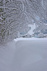Winter landscape from Austria