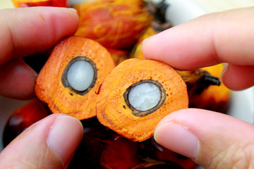 fresh palm oil