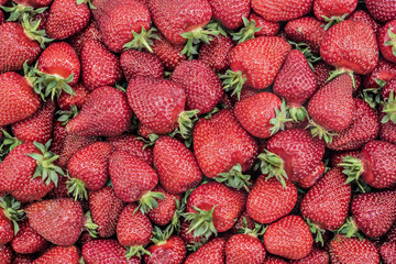 Pile of juicy ripe organic strawberries, texture 