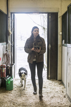 Full length of young woman using digital tablet in horse stable