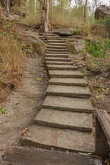 stair pathway stone in forest