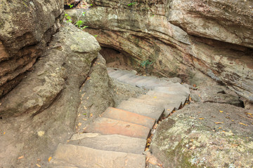 stair pathway stone in forest