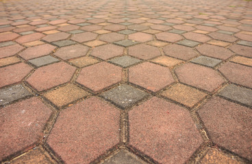 pathway pattern