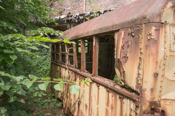 Rusty old container dumped in a forest