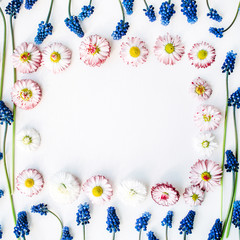 blue muscari and pink flower isolated on white background. flat lay, top view