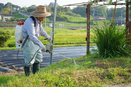 農作業 消毒をするを日本人の高齢者