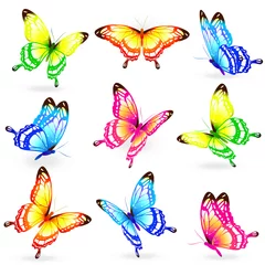 Fotobehang Vlinders vlinders ontwerp