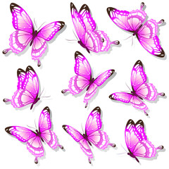 butterflies design