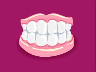 Vector Illustration of Dentures