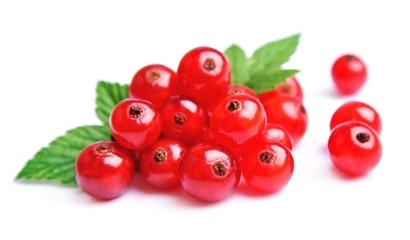 Red currants berry with leaves