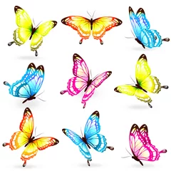 Acrylglas douchewanden met foto Vlinders butterflies design