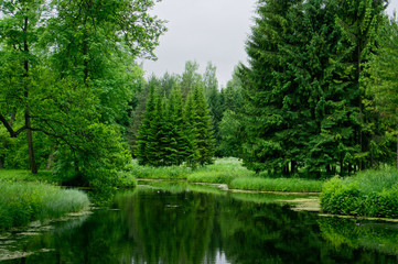 Fototapeta na wymiar Lake and forest in Catherine Park near Saint Petersburg, Russia