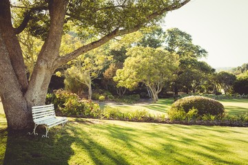 View of a park on a sunny day - obrazy, fototapety, plakaty