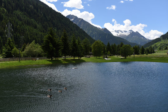 lago di montagna laghetto alpino fiume torrente cascata acqua fresca pura 