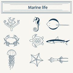 Vector illustration in a linear style sea animals, jellyfish, tu