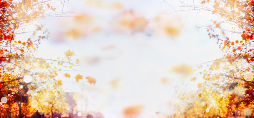 autumn blurred bokeh background with branches and leaves of trees and blue sky