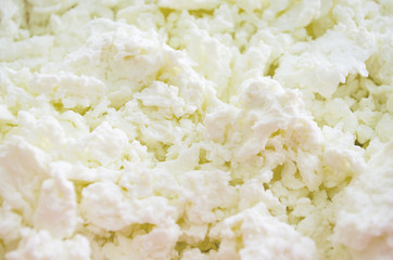 Cottage cheese close up. Dairy product.