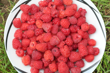 Ripe raspberriesm macro picture
