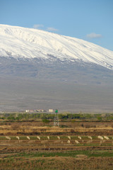 Turkish-Armenian border