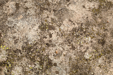 Stone texture / background with moss  