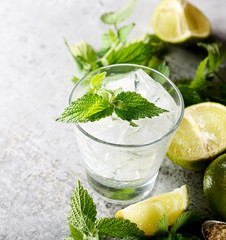 Ingredients for making mojitos (ice cubes, mint leaves, sugar and lime on rustic background)