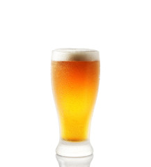 glass of beer on a white background