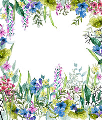 Watercolor wild herbs and flowers