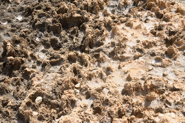 Limestone background close up.