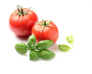 fresh tomato and basil leaf isolated on white background