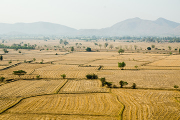 Obraz premium Paddy Field, West of Thailand